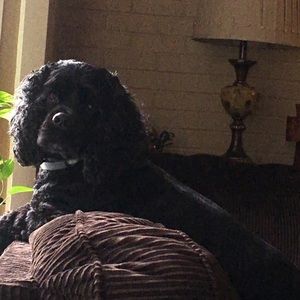 Meet your Posher, Patti